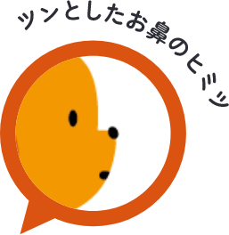 ツンとしたお鼻のヒミツ
