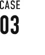 CASE 03
