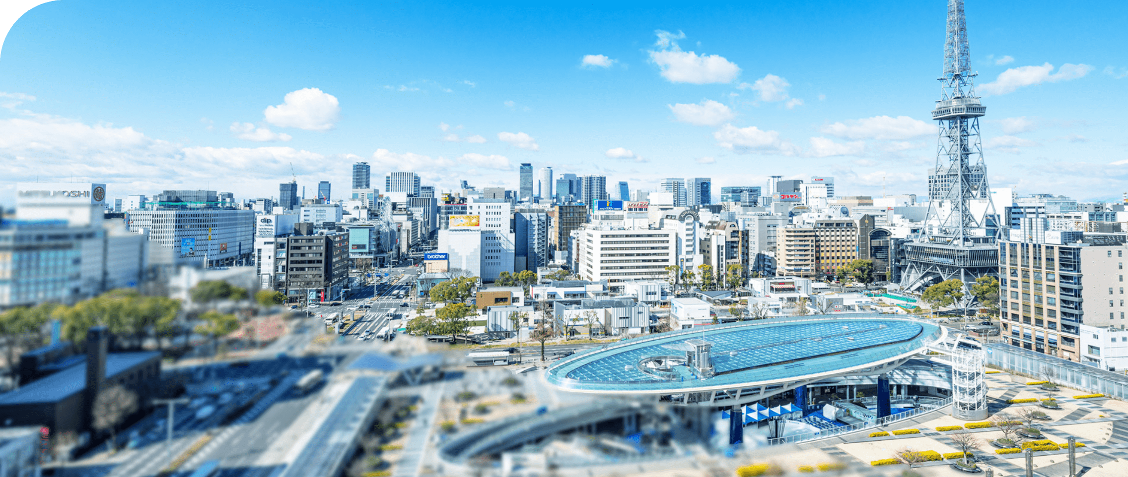 FV 事業領域と職種